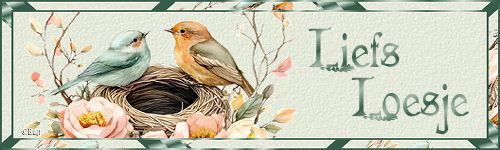vogel+10+ht loesje.…